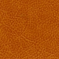 Кожзам iguana 706